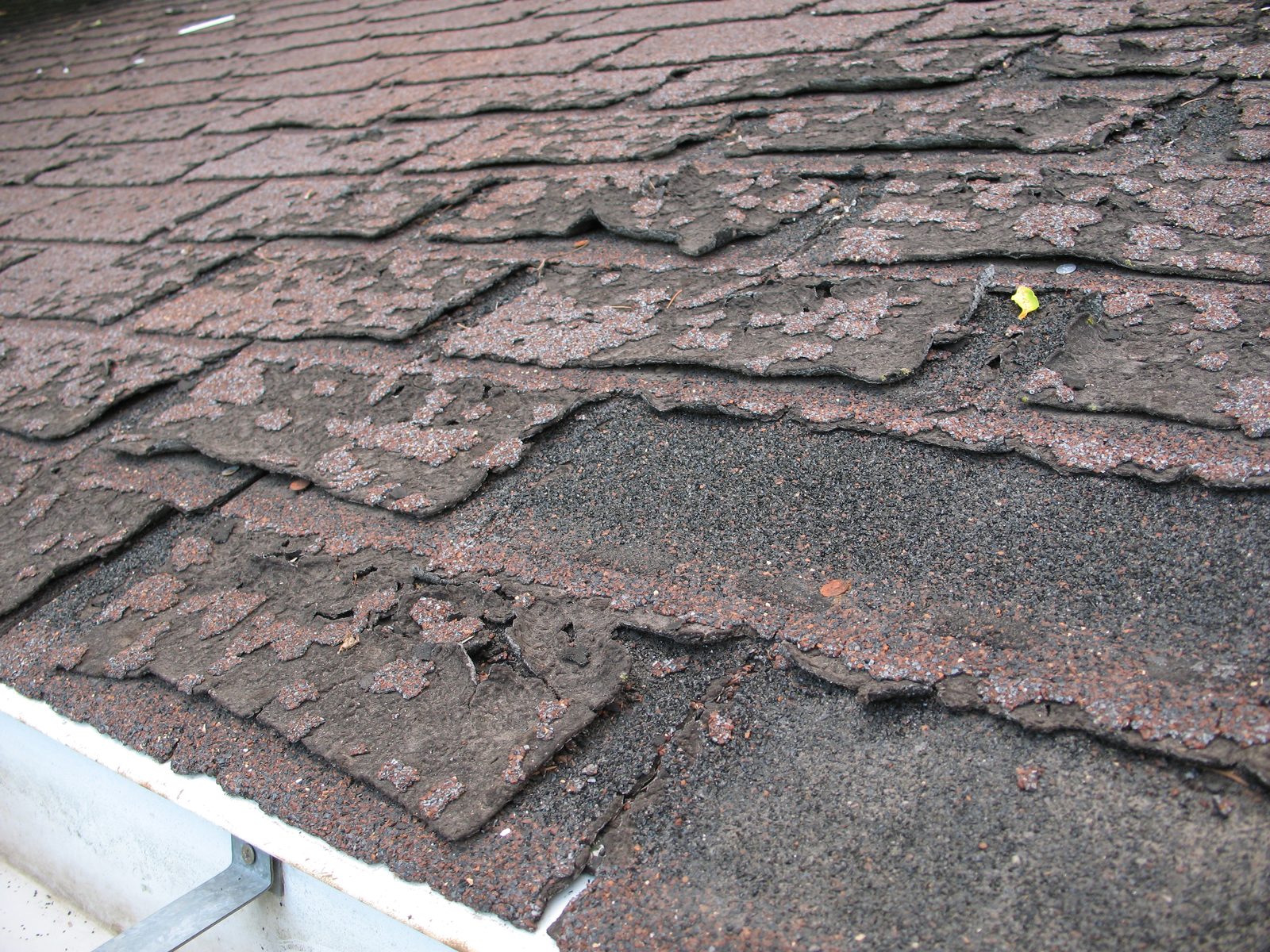 Severely blistered and delaminating asphalt shingles at the roof eave with exposed underlayment