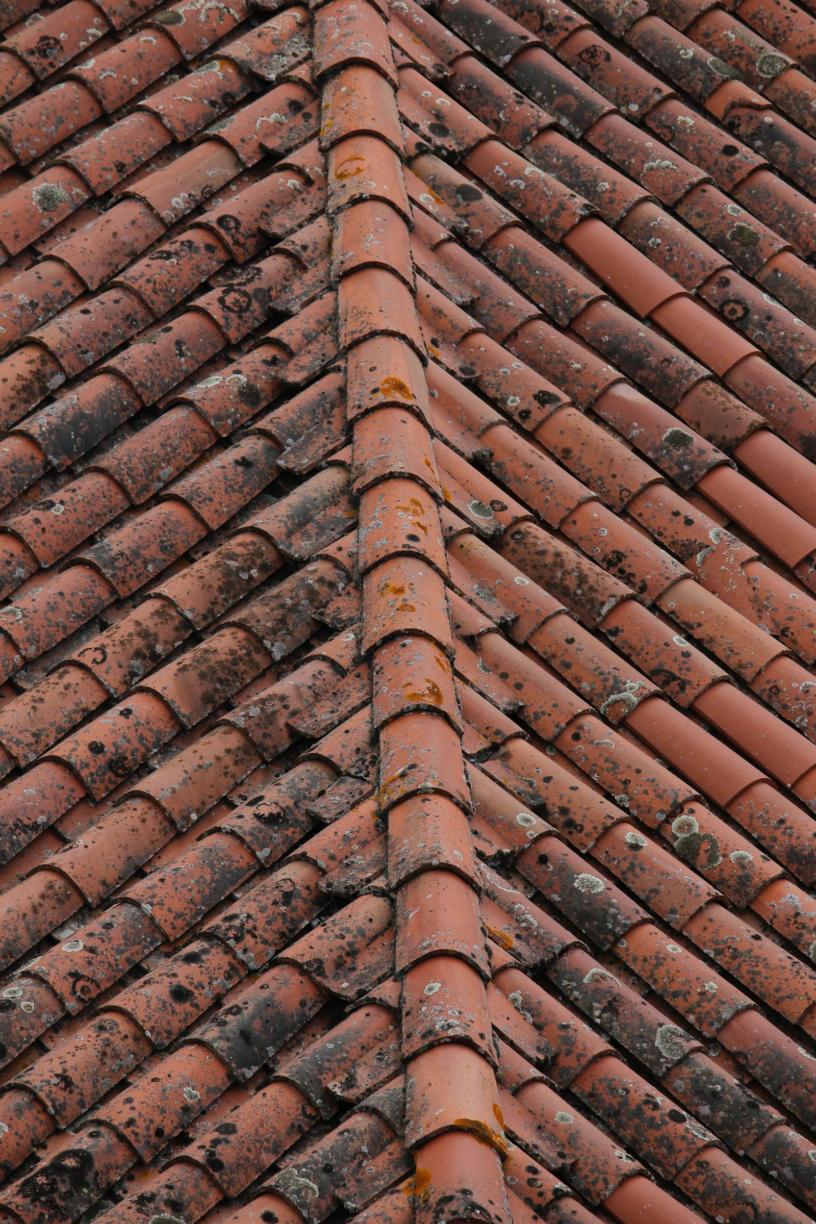 Before: clay tile roof in Corrales — tile roof albuquerque