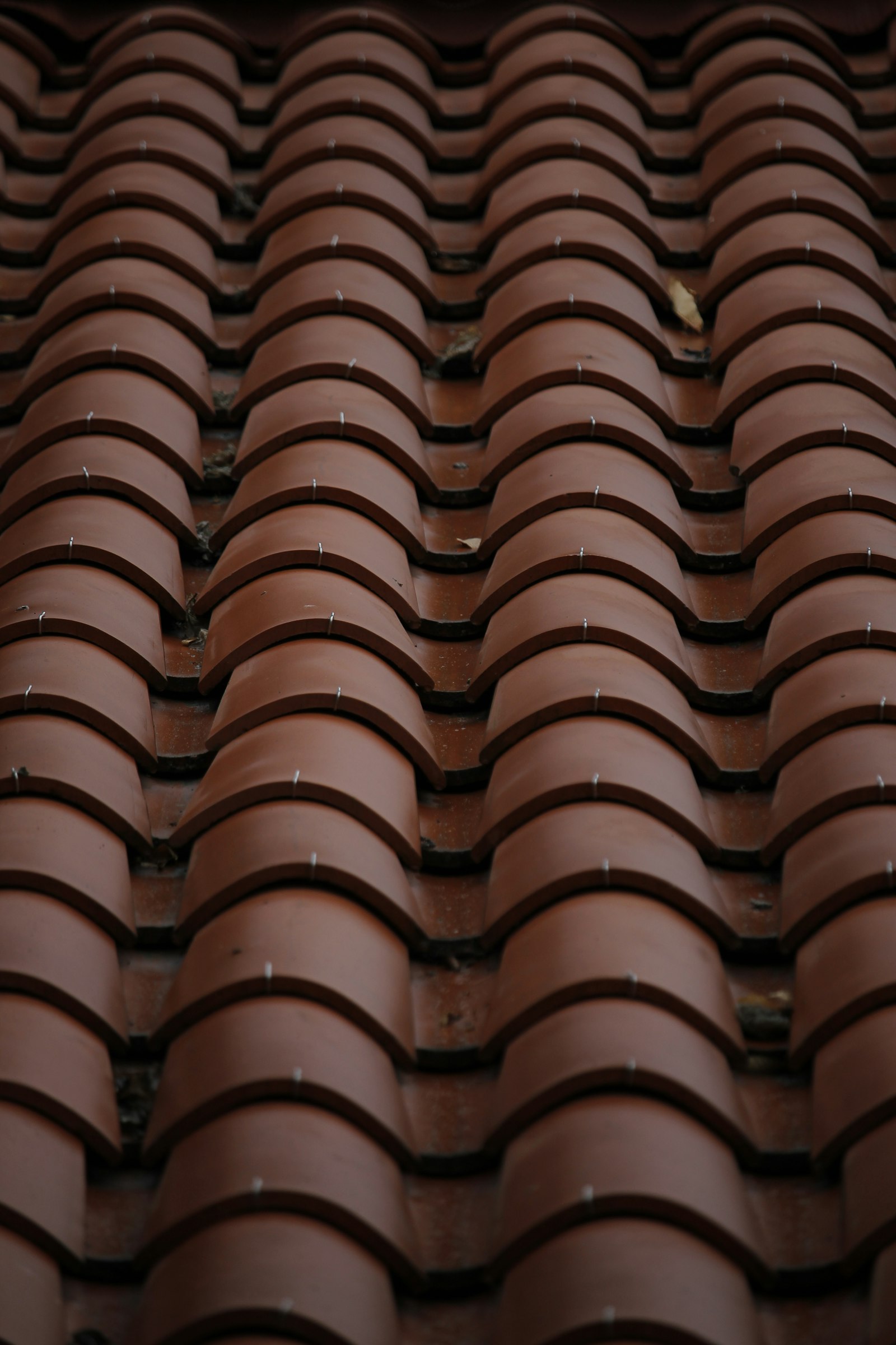 After: clay tile roof in Corrales — matched-contractor scope completed